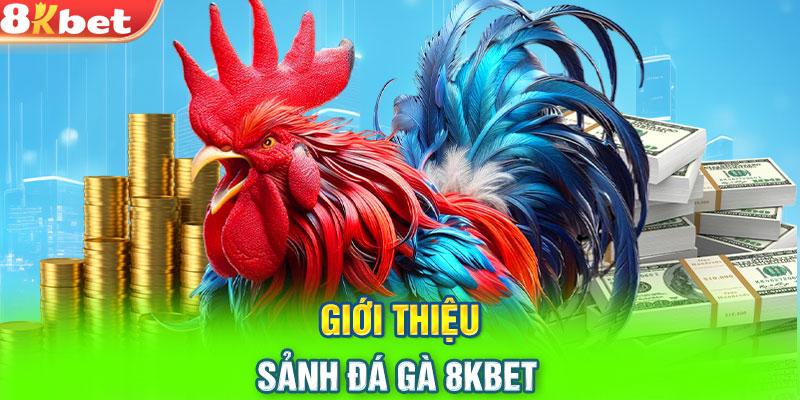 Giới thiệu sảnh đá gà 8KBET