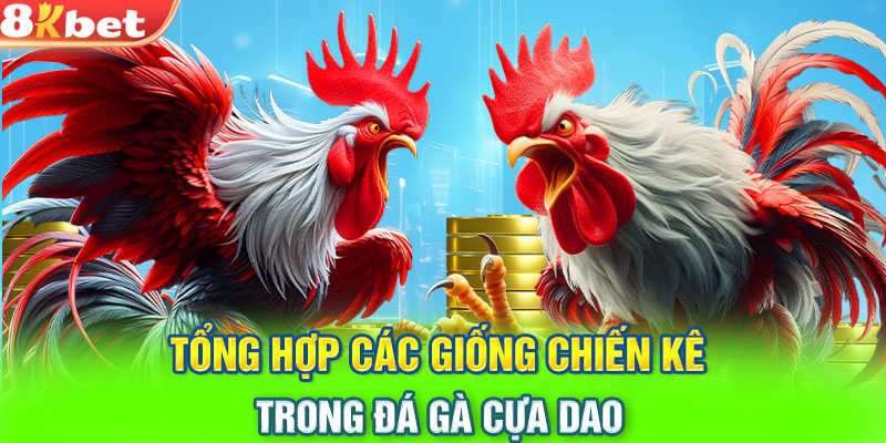 Tổng hợp các giống chiến kê trong đá gà cựa dao